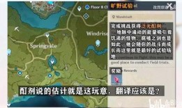 原神照片爆料大全最新版,揭秘游戏新角色与神秘设定